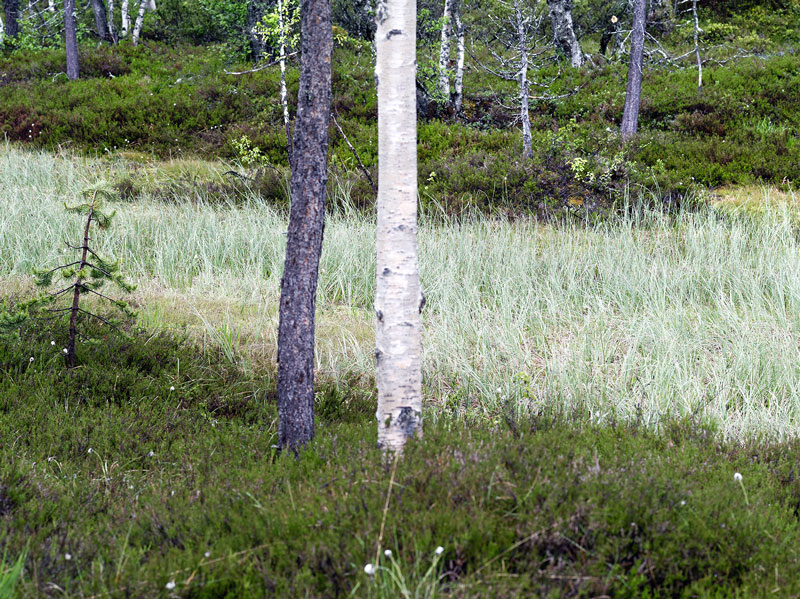 MIT DER PENTAX 645D IN NORWEGEN